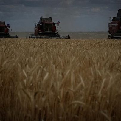 Ucrânia projeta colheita de 83,6 milhões de toneladas de grãos em 2026