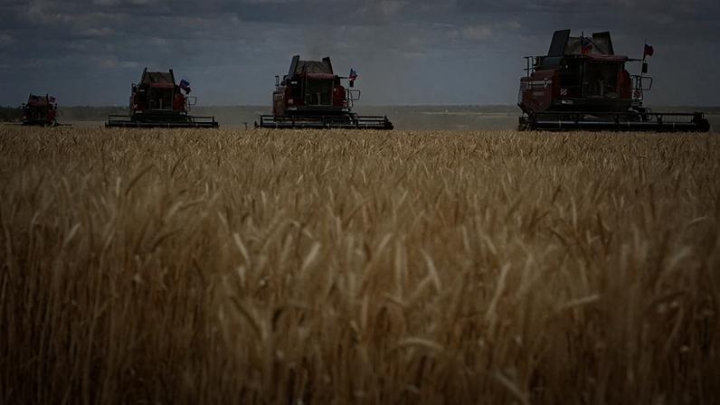 Agricultores iniciam a colheita de trigo na região de Donetsk