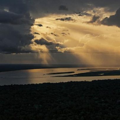Fazendas da América do Sul dependem de uma Amazônia saudável