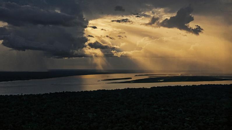 Fazendas da América do Sul dependem de uma Amazônia saudável