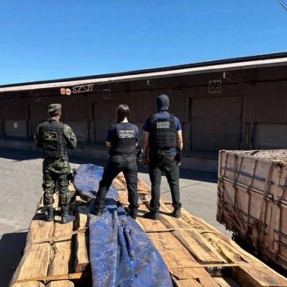 Operação na fronteira mantém maior apreensão de cocaína em madeira, diz Receita