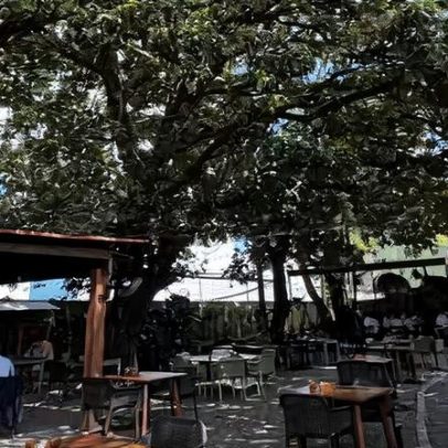 ARVO traz experiência gastronômica pernambucana com frescor ao Recife