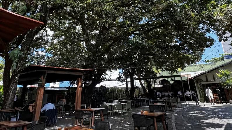 ARVO traz experiência gastronômica pernambucana com frescor ao Recife