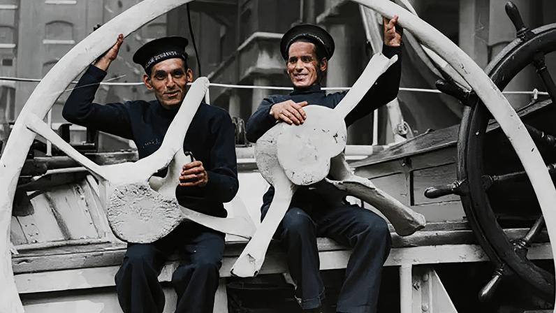 Crew members of the William Scoresby with fossilised whale bones on their return to Britain from the Antarctic in 1938