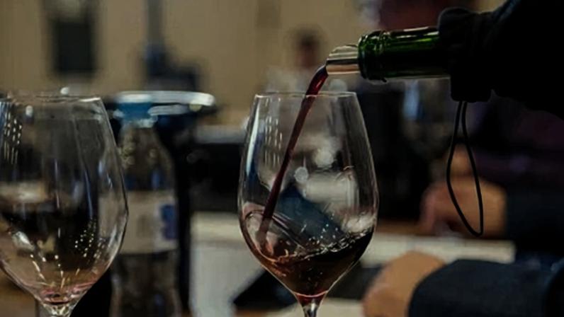 Brazil Wine Challenge premia 28 vinhos brasileiros com Grande Ouro
