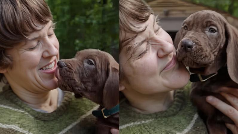 Scooby-Doo em nova série live-action — Foto: Divulgação