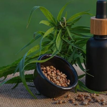 Projeto apoia mães e crianças atípicas tratadas com cannabis