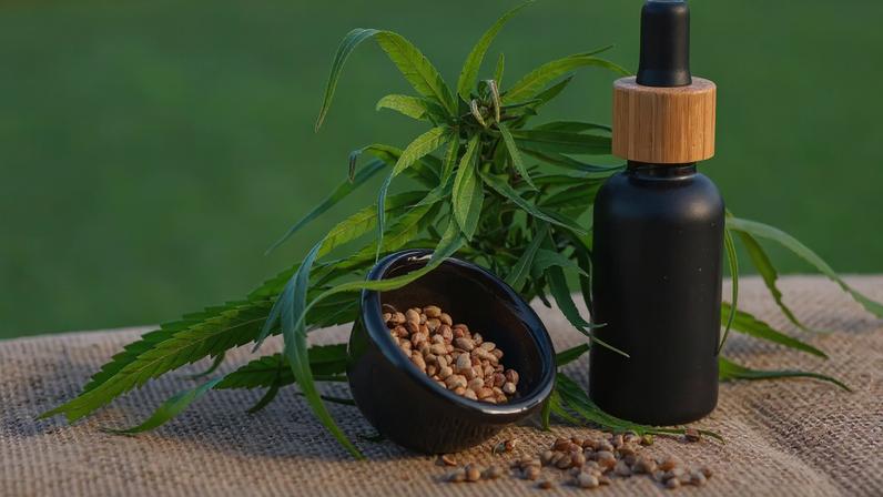 Projeto apoia mães e crianças atípicas tratadas com cannabis