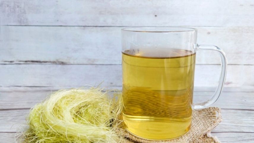 Seis chás para os rins: opções naturais para a saúde renal