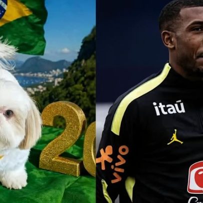 Rayan cria rede social para pet em creche na Inglaterra durante a Copa