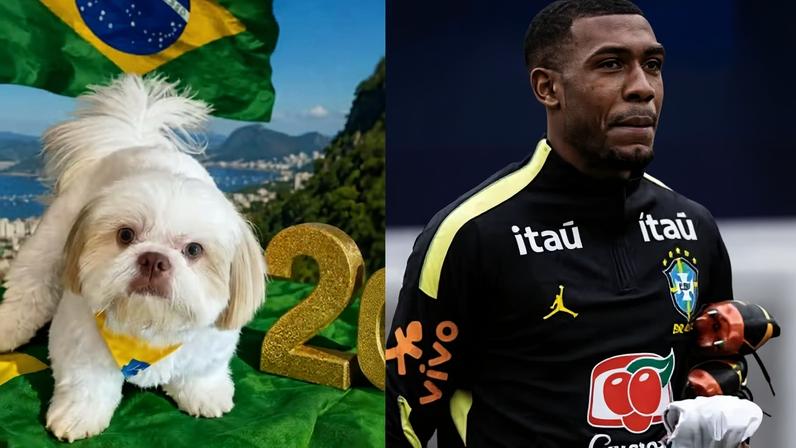 Rayan cria rede social para pet em creche na Inglaterra durante a Copa