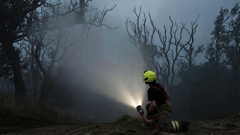 Charneca danificada por incêndio recebe fundo de £3 milhões para reparos