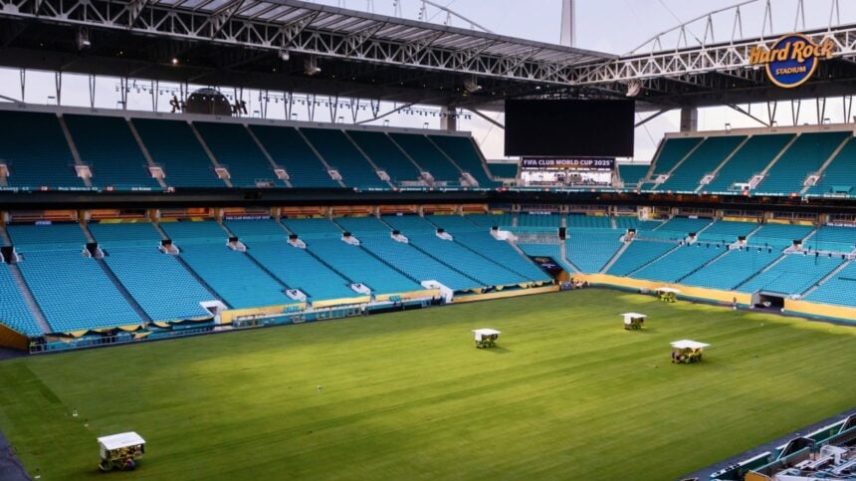 Estádios receberam grama natural para a Copa