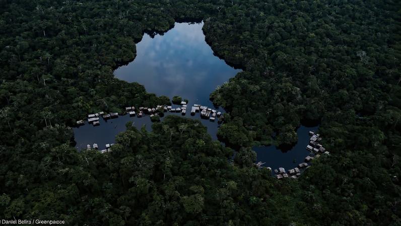 Aerial view of a peatland forest in the Democratic Republic of the Congo. Image by Daniel Beltrá/Greenpeace.
