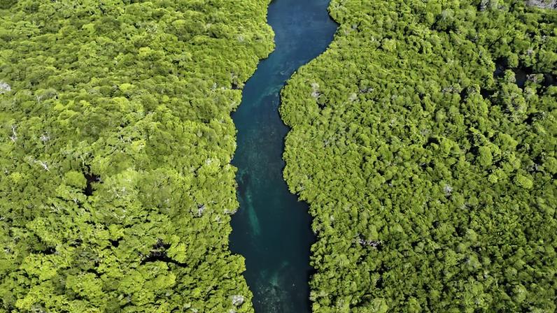 Como ações pequenas podem se tornar forças planetárias