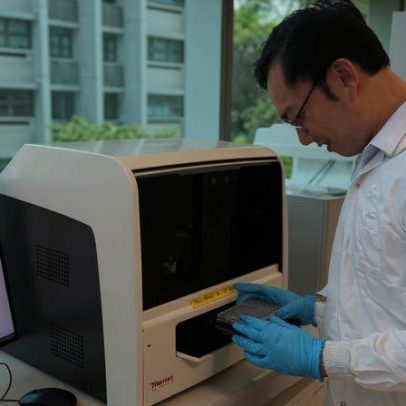 Nanosensor fluorescente detecta rapidamente biomarcador da saúde intestinal