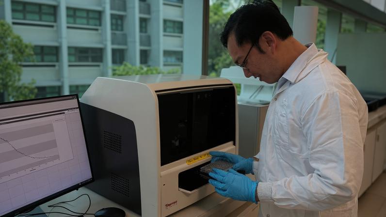 Mervin Ang conducts sensor measurements using a new fluorescence spectrometer. “With further development, the platform has the potential to be translated into clinical applications, and in the long term, adapted into portable platforms for routine health monitoring,” he says.