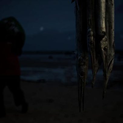 Quênia aumenta coleta de dados sobre frota artesanal para melhorar a pesca