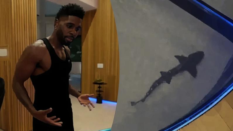 Jason Derulo enfrenta críticas por tanque de tubarões de 1 milhão na Califórnia