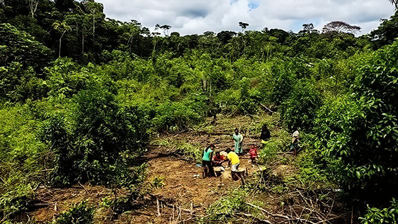 J G Soler/ Fundación Gaia Amazonas A family including several children and adults are grouped together in a clearing in the rainforest. They appear to be harvesting something (Credit: J G Soler/ Fundación Gaia Amazonas)