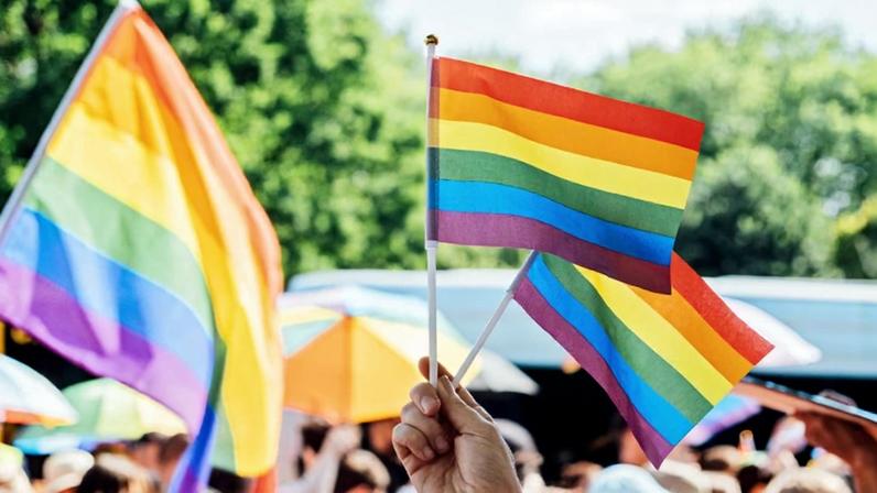 30ª Parada do Orgulho LGBT+ de São Paulo. Imagem: Canva Images