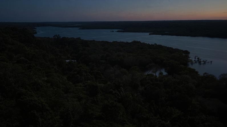 Desmatamento na Amazônia cai 61,4% em maio de 2026