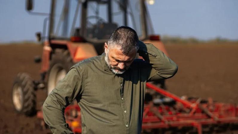 Nova ferramenta permitirá ao Judiciário verificar informações sobre a atividade rural antes de decisões em processos de recuperação judicial.