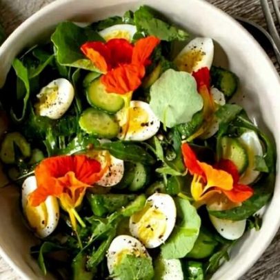 Almoço saudável com ovo: 5 receitas fáceis para o dia a dia