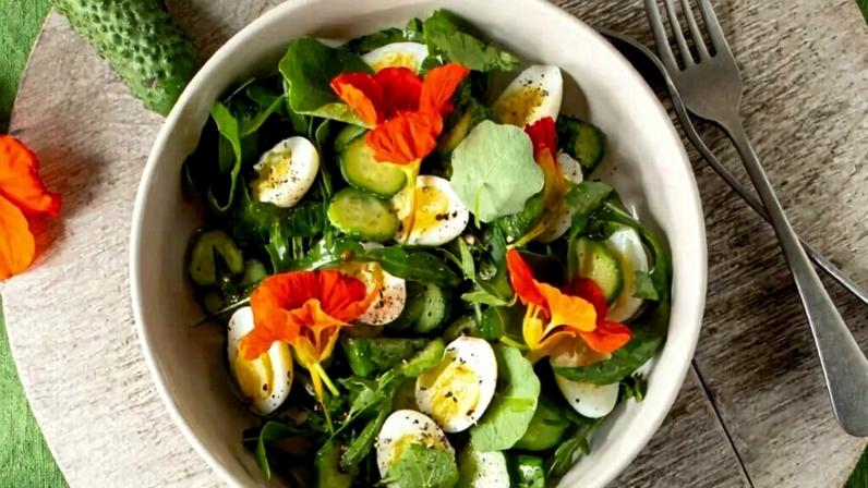Almoço saudável: 5 receitas fáceis e nutritivas com ovo para o dia a dia