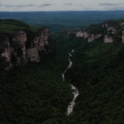 Sul da Chapada Diamantina enfrenta explosão fundiária com grilagem digital