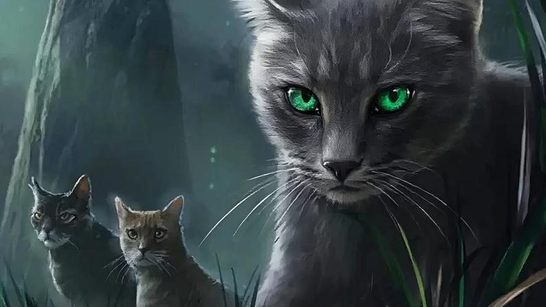 Gatos Guerreiros terá série no Disney+, adaptação de saga best-seller