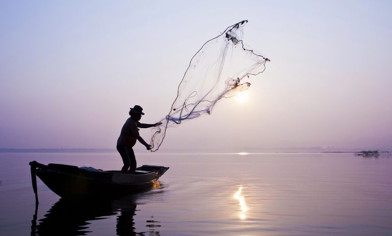 A moratória da pesca e da comercialização da piracatinga é mantida há onze anos