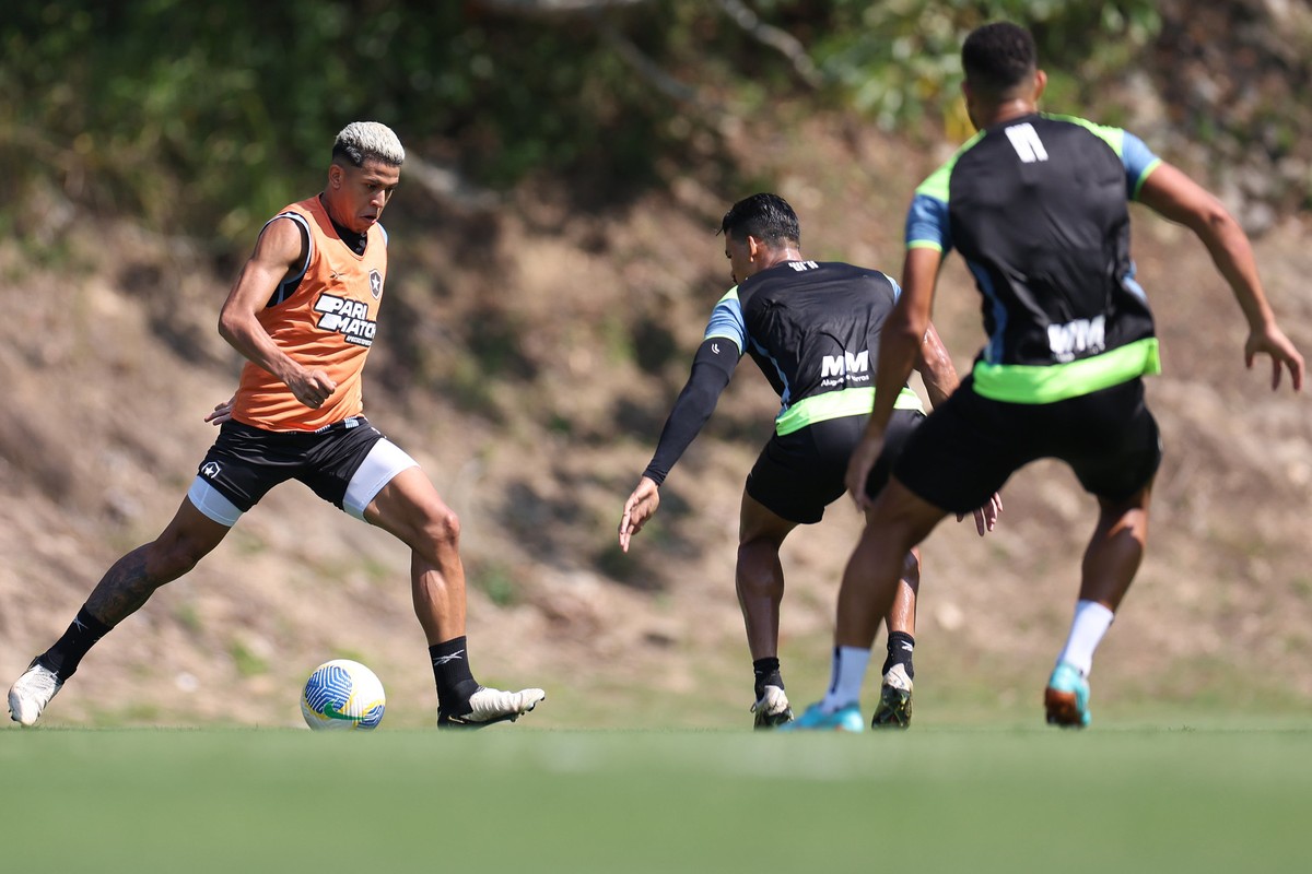 Matheus Martins está perto de retornar ao Botafogo (Foto: Vitor Silva/Botafogo)