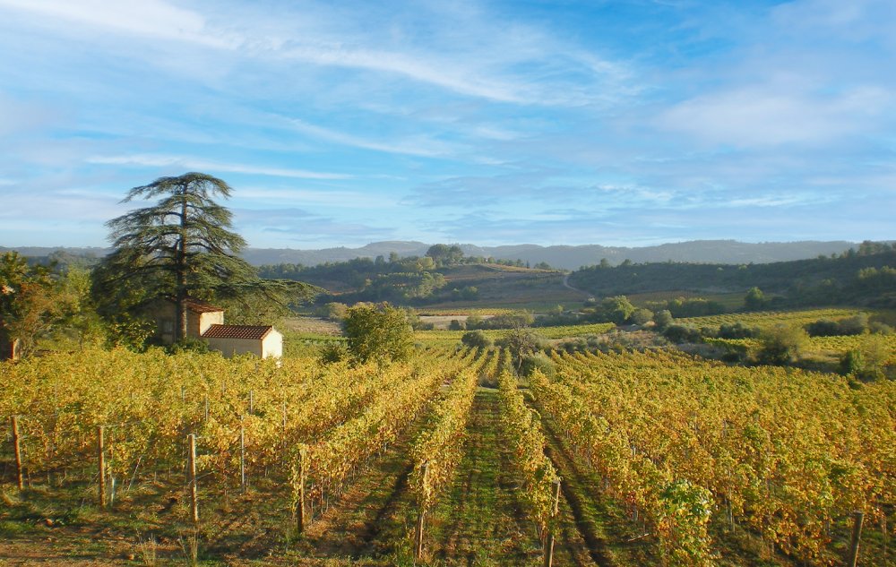Descubra as melhores opções de enoturismo no Languedoc e aproveite a região Descubra as melhores opções de enoturismo no Languedoc e aproveite a região