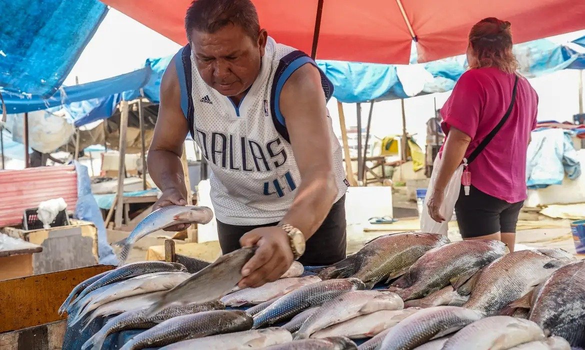 Setores de pescados e cítricos apontam primeiros impactos de medidas de Trump (Foto: Rafa Neddermeyer/Agência Brasil)