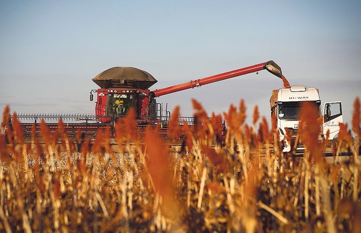 Tarifaço pode causar perda de quase US$ 6 bilhões para o agronegócio brasileiro Agronegócio (Foto: Pablo Jacob/Agência O Globo)
