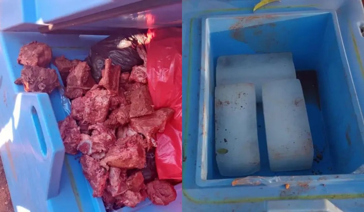 Trabalhadores são presos na Bolívia por trocarem vacinas contra sarampo por carne Trabalhadores substituíram 230 doses da vacina contra o sarampo por carne bovina (Foto: Reprodução)