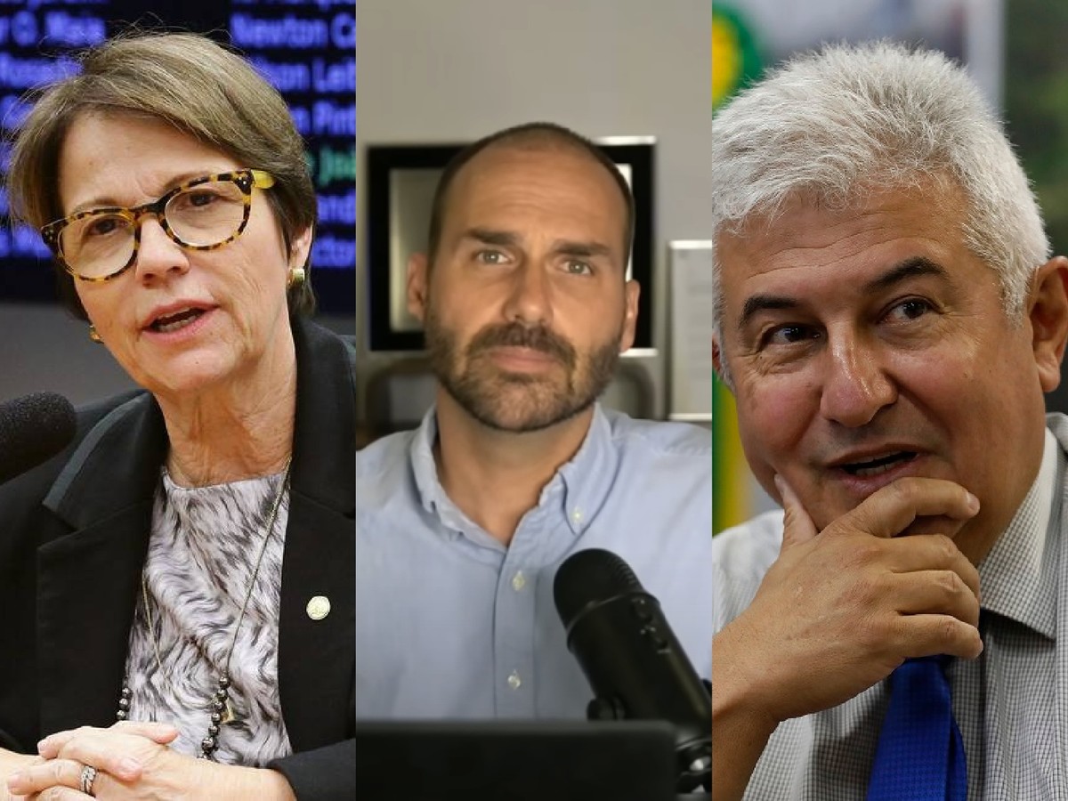Tereza Cristina, PP-MS, (à esquerda), Eduardo Bolsonaro, PL-SP (centro) e Marcos Pontes, PL-SP (à direita) — Foto: Divulgação/Câmara, Reprodução/YouTube e Cristiano Mariz/O Globo