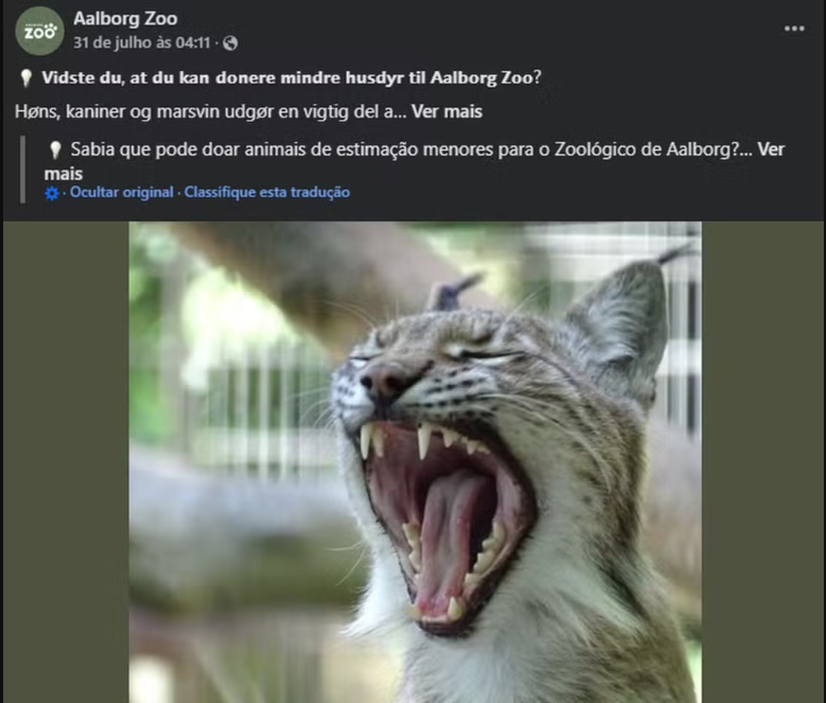 Zoológico de Aalborg pediu doação de pets para alimentar seus predadores (Foto: Reprodução)