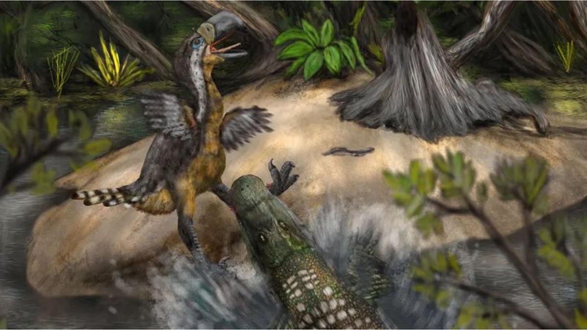 Marcas de mordidas fossilizadas indicam a possibilidade de um confronto dramático entre uma ave do terror gigantesca e um jacaré (Foto: Divulgação/Biology Letters)