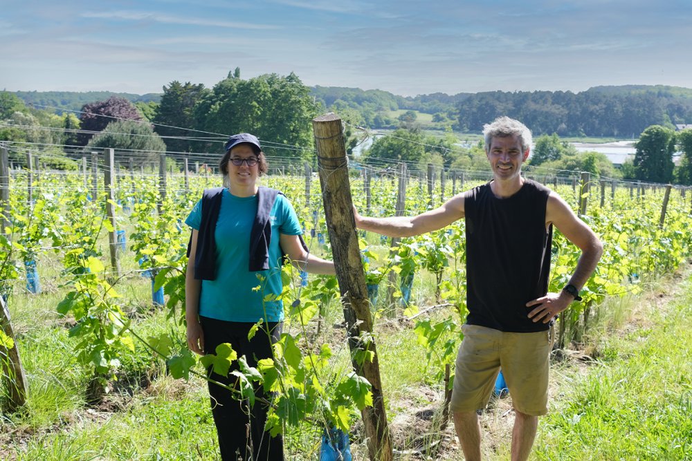 Liceu de Auray inova com ensino focado na viticultura e produção de vinho Foto: Reprodução